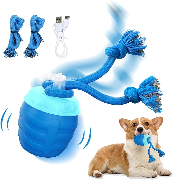 Interactive Dog Toys